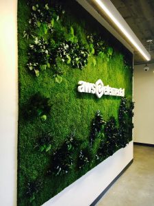 Amazon Office Vertical Garden 100% Natural