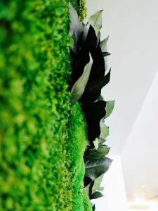 Sustainable Wall Foliage