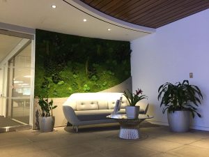 Office Lobby Sustainable Garden Wall