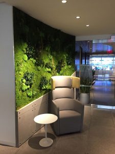 Office Reception Indoor Garden