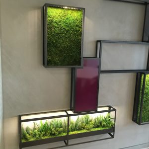 Wall Frames with Plants