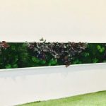 Green Design Interior Plants