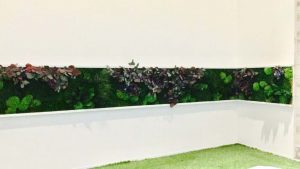 Green Design Interior Plants