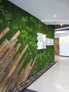 Sustainable Office Garden on the Wall