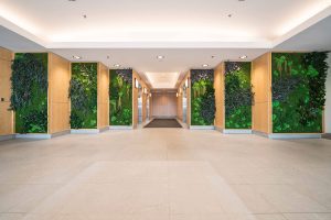 Preserved Green Wall in Lobby
