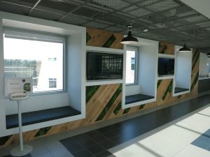 Vertical Wall Garden with Wood Panels
