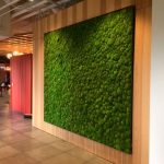 Wall Garden with Preserved Moss Ball