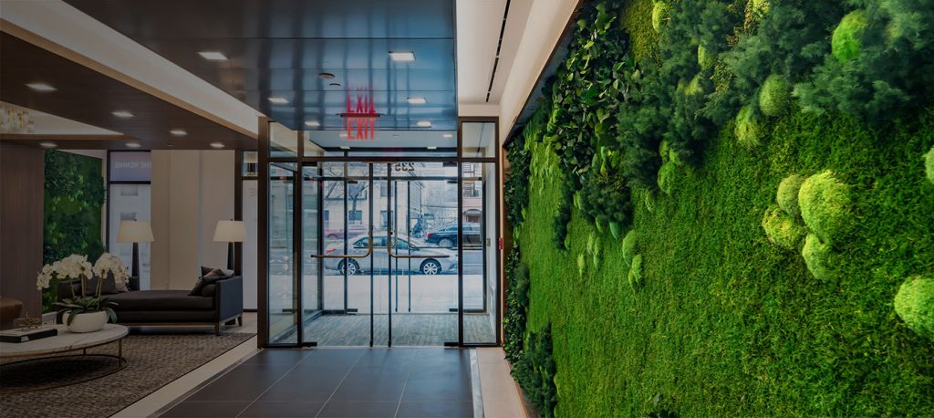 Vertical Garden Preserved Plants For Interior Walls Planters Ceilings - Garden On The Wall Llc