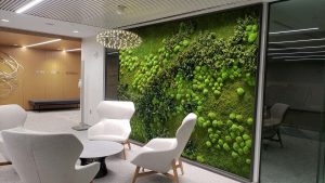 mayo-clinic-lobby-moss-wall