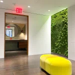 The Benefits of Incorporating Preserved Moss Walls and Preserved Gardens into Your Interior Design