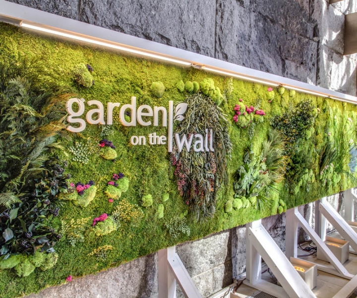 Vertical Garden | Preserved Plants For Interior Walls, Planters & Ceilings